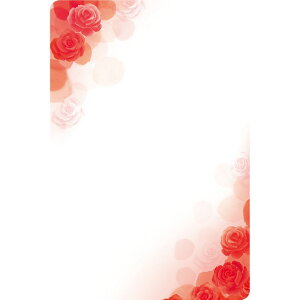 `LEO[eBOX/DJ[h KP|74 20/KP-74y01z bsOpi A bZ[WJ[h O[eBOJ[h