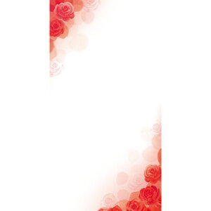 `LEO[eBOX/DJ[h MP|74 20/MP-74y01z bsOpi A bZ[WJ[h O[eBOJ[h