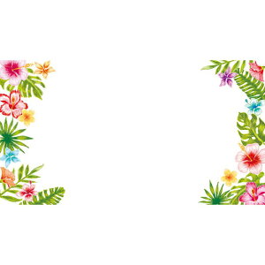 `LEO[eBOX/MtgJ[h G|345 50/G[345y01z bsOpi A bZ[WJ[h O[eBOJ[h