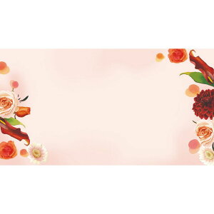 `LEO[eBOX/MtgJ[h G|349 50/G[349y01z bsOpi A bZ[WJ[h O[eBOJ[h