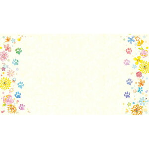 `LEO[eBOX/MtgJ[h G|380 50/G-380y01z bsOpi A bZ[WJ[h O[eBOJ[h