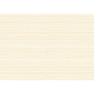 `LEO[eBOX/APSDJ[h APS|60 20/APS-60y01z bsOpi A bZ[WJ[h O[eBOJ[h