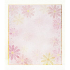 `LEO[eBOX/ʐF S|904/S-904y01z[5] bsOpi A bZ[WJ[h O[eBOJ[h