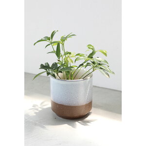 Aؔ  RxgK[f/XL[EEh|bg/QA-14y07z K[fjOE|pi t[|bg EZ~bN