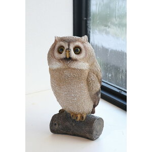 RxgK[f/uCNEu`IE/TS-56y07z X܃fBXvCEX uEIuWF Xg[()IuWF