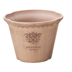 Aؔ  FV/p{k[T[NSBR/MS1227y01z K[fjOE|pi t[|bg 