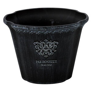 Aؔ  FV/p{k[T[NSBK/MS1231y01z K[fjOE|pi t[|bg 