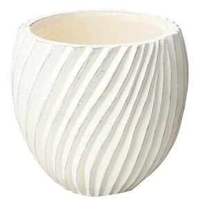 Aؔ  FV/tHZ{ESW/GF6043y01z K[fjOE|pi t[|bg OXt@Co[