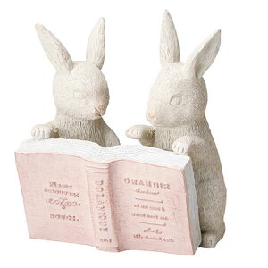 FV/[hDpP/GF4625y01z K[fjOE|pi K[fjOG݁EI[ig uEI[ig