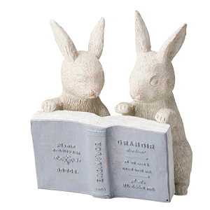 FV/[hDpBL/GF4626y01z K[fjOE|pi K[fjOG݁EI[ig uEI[ig