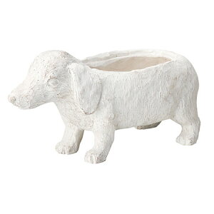 Aؔ  FV/eBP|bgW/GF4561y01z K[fjOE|pi t[|bg OXt@Co[