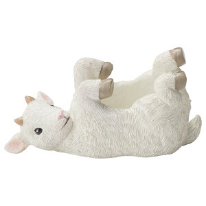 Aؔ  FV/NVFVF||bg/5E4142y01z K[fjOE|pi t[|bg W