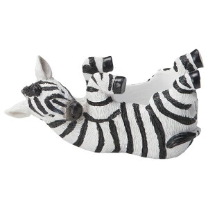 Aؔ  FV/NVF[u|bg/5E4143y01z K[fjOE|pi t[|bg W