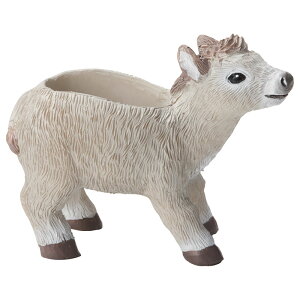 Aؔ  FV/A[k|bg/5E4150y01z K[fjOE|pi t[|bg W