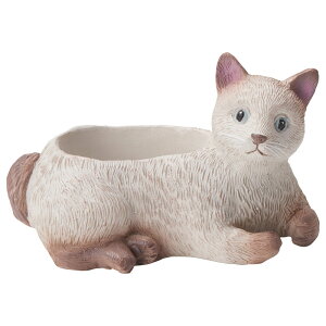 Aؔ  FV/VVA|bg/5E4151y01z K[fjOE|pi t[|bg W