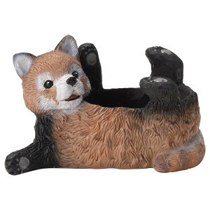 Aؔ  FV/NVFg[|bg/5E4156y01z K[fjOE|pi t[|bg W