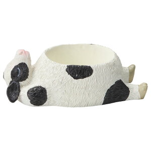 Aؔ  FV/@V|bg/5E4195y01z K[fjOE|pi t[|bg W