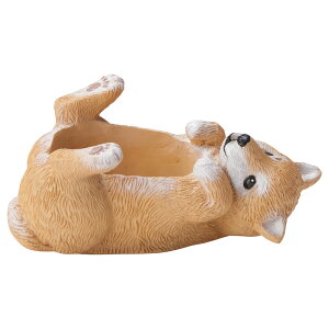 Aؔ  FV/NVFVo|bg/5E4145y01z K[fjOE|pi t[|bg W