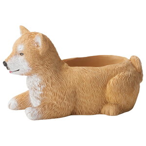 Aؔ  FV/Vo|bg/5E4146y01z K[fjOE|pi t[|bg W