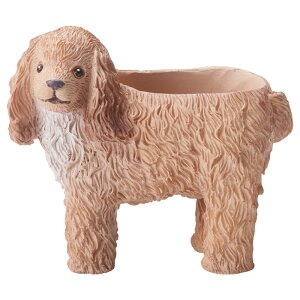 Aؔ  FV/LjbV|bgS/5E4147y01z K[fjOE|pi t[|bg W