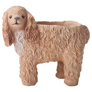 Aؔ  FV/LjbV|bgM/5E4148y01z K[fjOE|pi t[|bg W