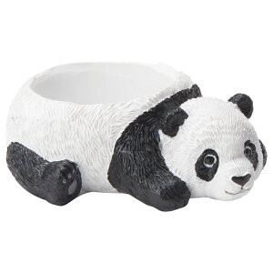 Aؔ  FV/Avogp_|bg/5E4152y01z K[fjOE|pi t[|bg W