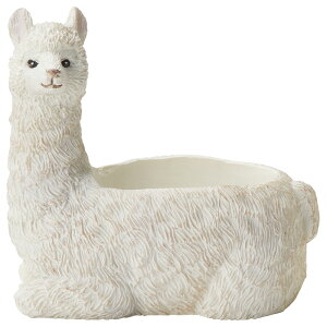 Aؔ  FV/TX[ApJ|bgS/5E4154y01z K[fjOE|pi t[|bg W