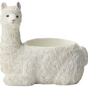 Aؔ  FV/TX[ApJ|bgM/5E4155y01z K[fjOE|pi t[|bg W