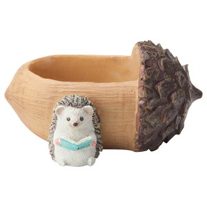 Aؔ  FV/O|bgM/5E4194y01z K[fjOE|pi t[|bg W