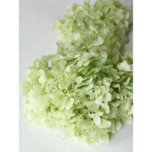 yvU[uhzn_/߃AWTCEwbh NAO[/01900-711y01z vU[uht[ vU[uht[ԍ izԁj