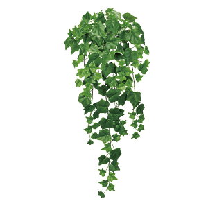 �y���ԁzMAGIQ������/�G�N�X�e���A�A�C�r�[�o�C�� ��24 GREEN �O���[��/FG008272-024�y01�z ���� �A�[�e�B�t�B�V�����t�����[ �t���A�t�F�C�N�O���[�� �A�C�r�[�l�H �t�����[�A�����W�ԍ� �������