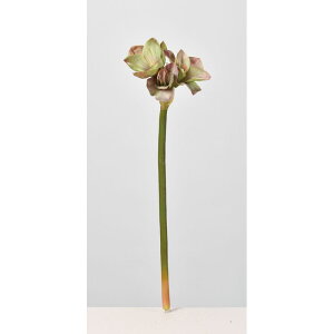 yԁzAXJ/A}X×3 [uO[/A-34465-55Gy01z ԁiA[eBtBVt[j  ԍށusv A}X