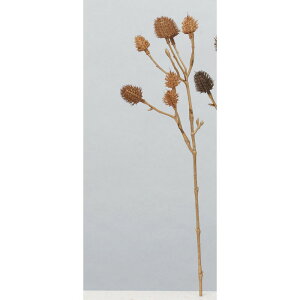 yԁzAXJ/GWEsbN×8 uE/A-34412-28y01z ԁiA[eBtBVt[j  ԍށusv GW[