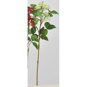 yԁzAXJ/VL~A CgO[/A-44020-52By01z ԁiA[eBtBVt[j  usv VL~A