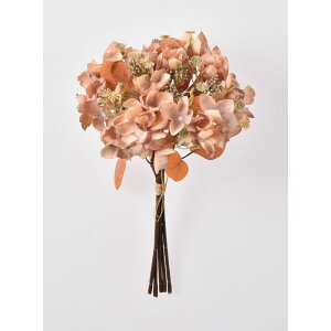 yԁzAXJ/nChWAo`i15{j AvRbg/A-34431-4Ay01z ԁiA[eBtBVt[j  ԍށusv izԁj