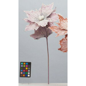 yԁzAXJ/Ob^[|CZ`A Cgx_[/AX60208-16y01z ԁiA[eBtBVt[j  ԍށu͍sv |CZ`A