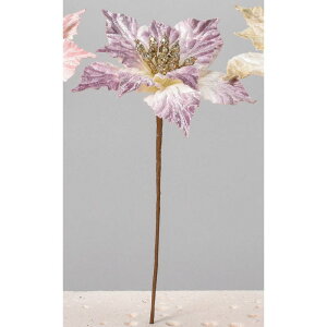 yԁzAXJ/|CZ`AsbN p[v/AX60243-7y01z ԁiA[eBtBVt[j  ԍށu͍sv |CZ`A