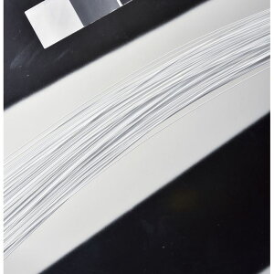 AXJ/Fi1100{j zCg/A-71300-1y01z ԎށEt[Xg fR[Vp[cEf 