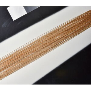 AXJ/i1100{j 27 Vy/A-71301-27y01z ԎށEt[Xg fR[Vp[cEf 