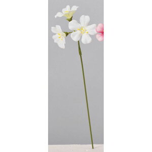 yԁzAXJ/~jt[sbN×3i16{j zCg/A-73383-1y01z ԁiA[eBtBVt[j  ԍށu܍sv ̑u܍svԉԍ