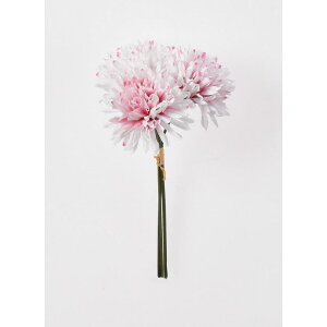 yԁzAXJ/}o`i13{j zCgr[eB/A-73388-22Wy01z ԁiA[eBtBVt[j  ԍށusv LNiejEs|}