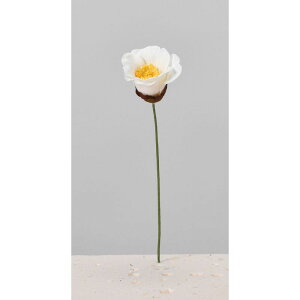 yԁzAXJ/փsbNi13{j zCg/A-73392-1y01z ԁiA[eBtBVt[j  ԍށusv coLiցj