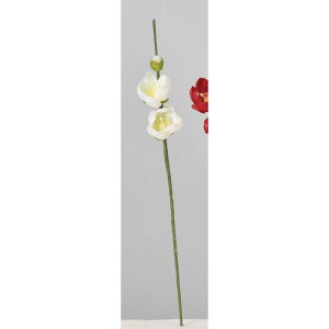 yԁzAXJ/~sbNi16{j zCg/A-73394-1y01z ԁiA[eBtBVt[j  ԍށusv Ei~j