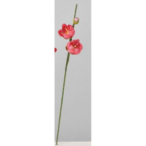 yԁzAXJ/~sbNi16{j zbgsN/A-73394-23Hy01z ԁiA[eBtBVt[j  ԍށusv Ei~j