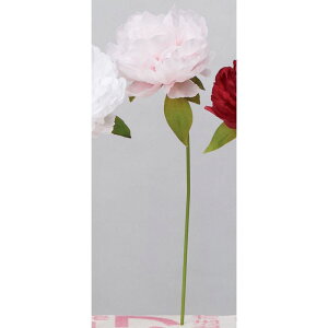 yԁzAXJ/sIj[sbN zCgsN/A-73397-1Py01z ԁiA[eBtBVt[j  ԍށusv VNNi䉖jE{^iOjEsIj[