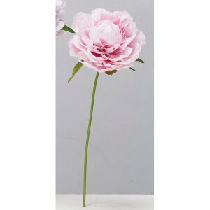 yԁzAXJ/sIj[sbN zCgr[eB/A-73397-22Wy01z ԁiA[eBtBVt[j  ԍށusv VNNi䉖jE{^iOjEsIj[