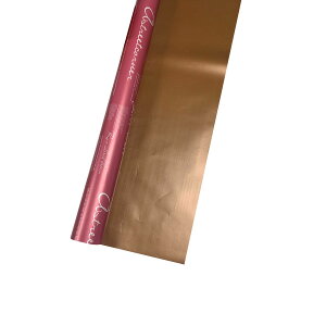 Gracias/G[bv NoD12y01z bsOpi A bsOy[p[() pV