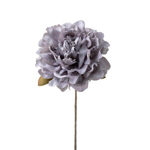 yԁzp/sIj[sbN u[/P-8517-70y07z ԁiA[eBtBVt[j  ԍށusv VNNi䉖jE{^iOjEsIj[