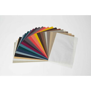 HOSHINO/tbgobO16 A\[gZbg i23F×e1j/314401y07z bsOpi A bsO܁Ev[g 