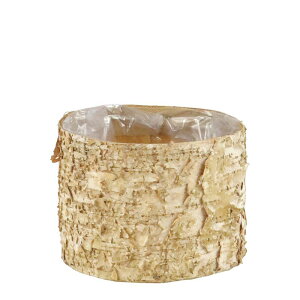 FourSeasons/SV|130/SV-130y01z ԊA[X ԊEԕr ؐԊ